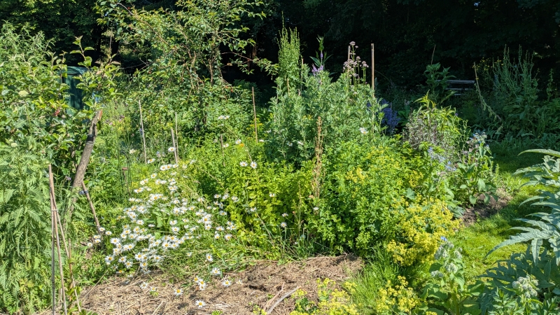 Chagford Community Gardens